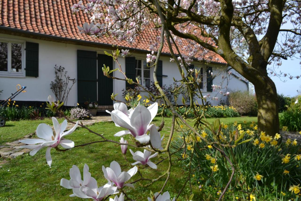 La Longere D'Ecottes Bed & Breakfast Licques Bagian luar foto