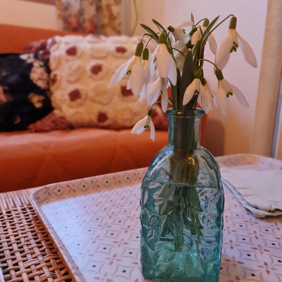 La Longere D'Ecottes Bed & Breakfast Licques Bagian luar foto