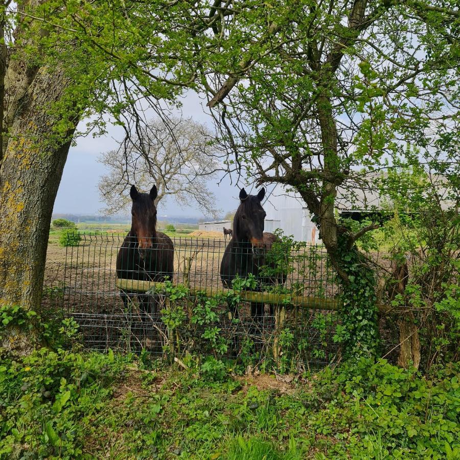 La Longere D'Ecottes Bed & Breakfast Licques Bagian luar foto